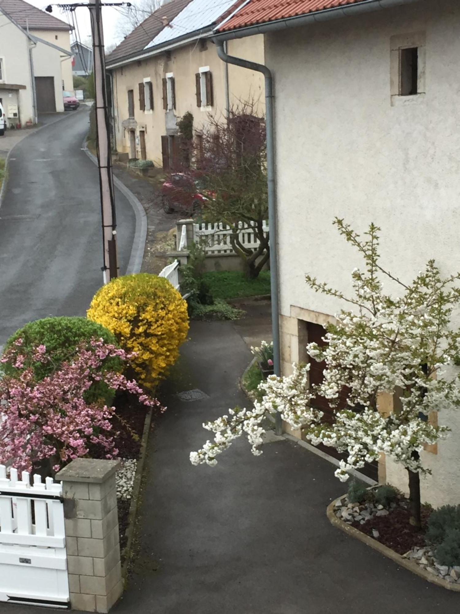 Appartement Ravissant En Bordure Du Doubs Longevelle-sur-Doubs Extérieur photo